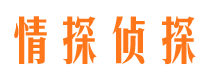 方城市调查公司